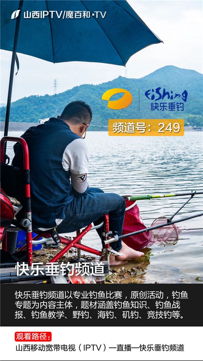 如何自制钓鱼高手的秘密武器——鱼饵？今天就让资深钓友来教你几款简单又有效的自制鱼饵配方。