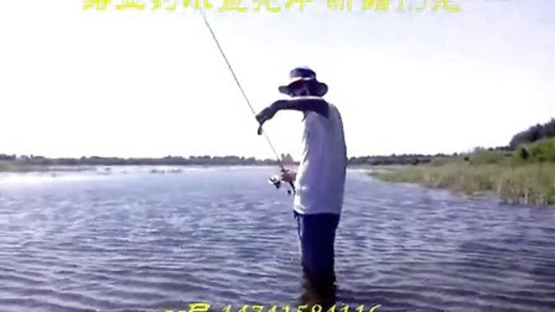 钓鱼教学