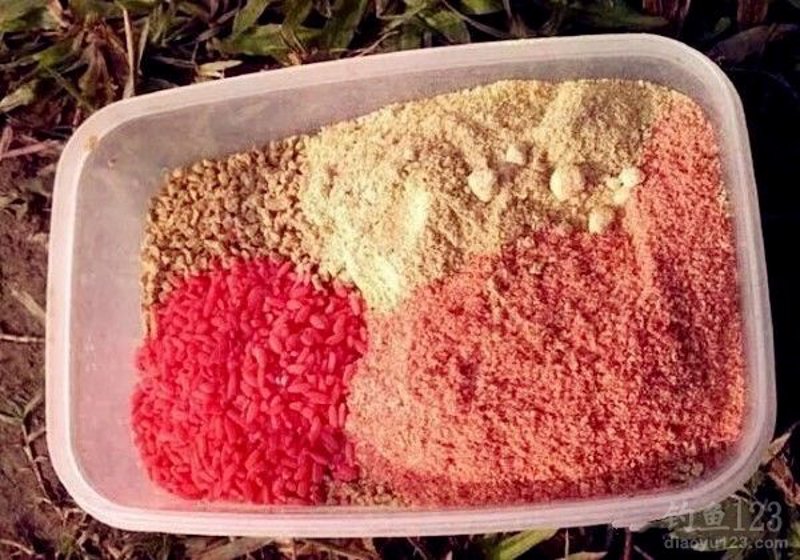 钓鱼:一种艺术还是一项技能?——通过视频学习的利与弊