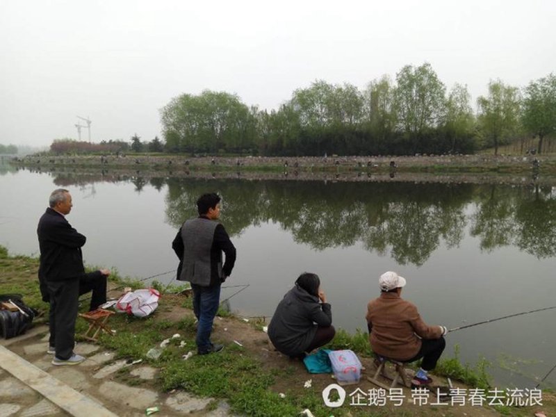如何制作吸引人的钓鱼视频?——一个新手的实践之路