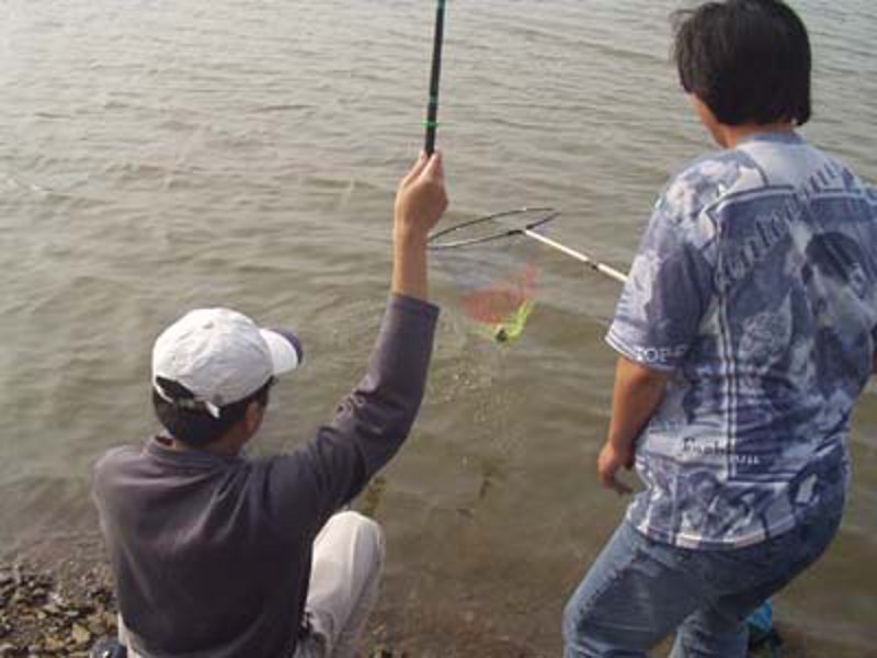 野钓技巧大揭秘:如何在自然水域中收获满满