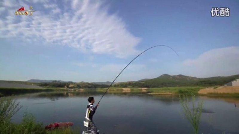 如何自制钓鱼高手的秘密武器——鱼饵？让我们一起揭开这个神秘的面纱。