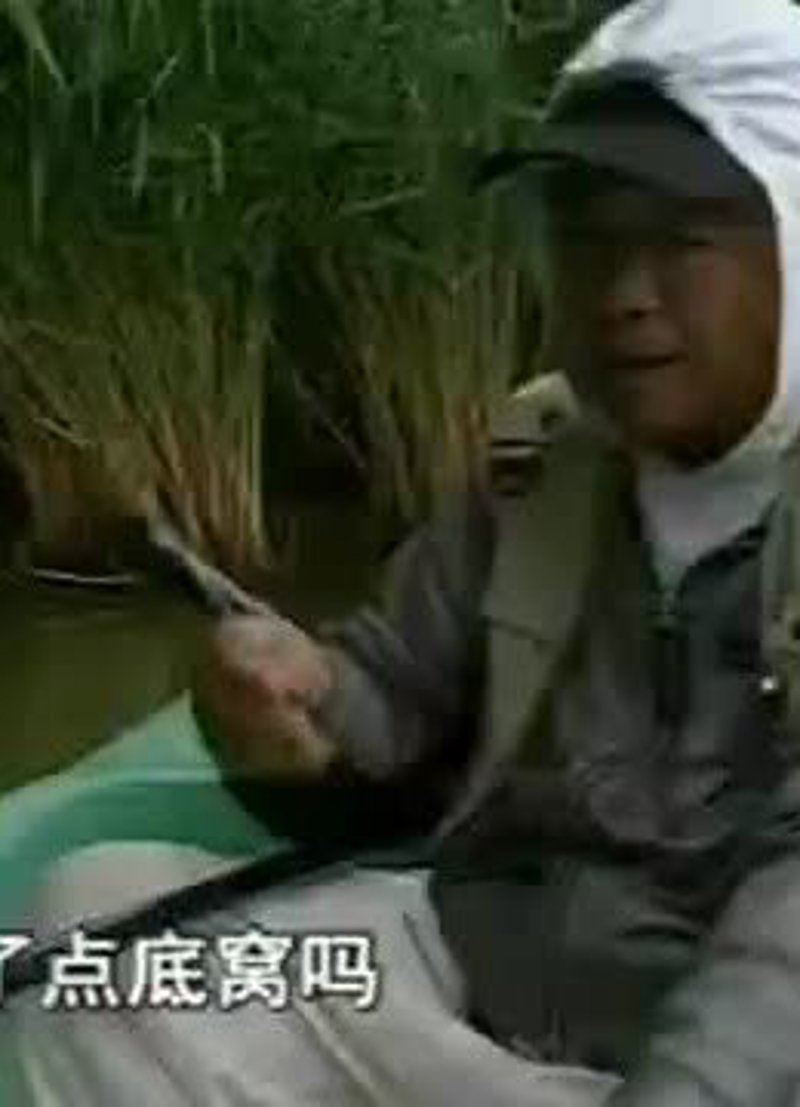 台钓,一种独特的钓鱼方式,近年来受到越来越多垂钓爱好者的青睐。今天我们就通过具体案例来一起探讨一下如何玩转台钓。